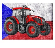 puzzle ZETOR