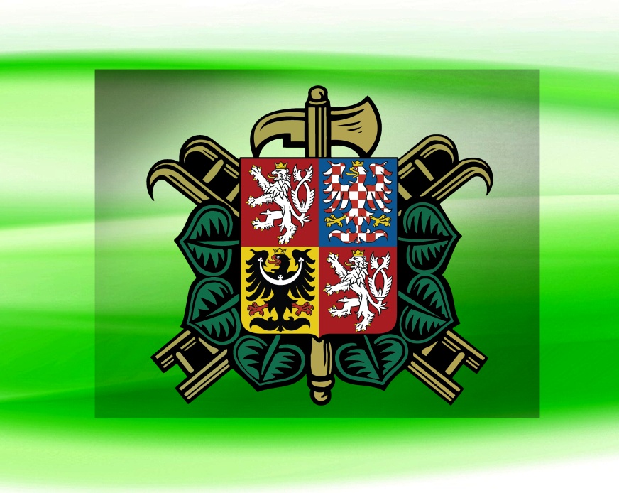 DTF nažehlovačky hasičské 