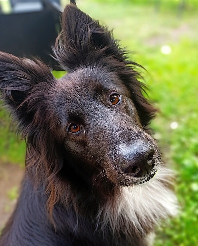 Plátno na fotoobrazy