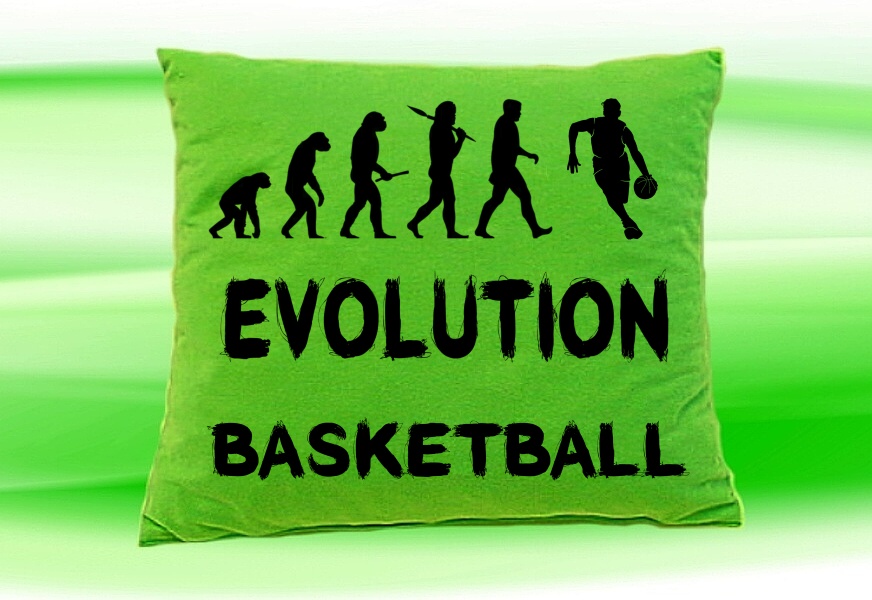 Moon River Evolution Basketbal polštář zelený 30x40 cm