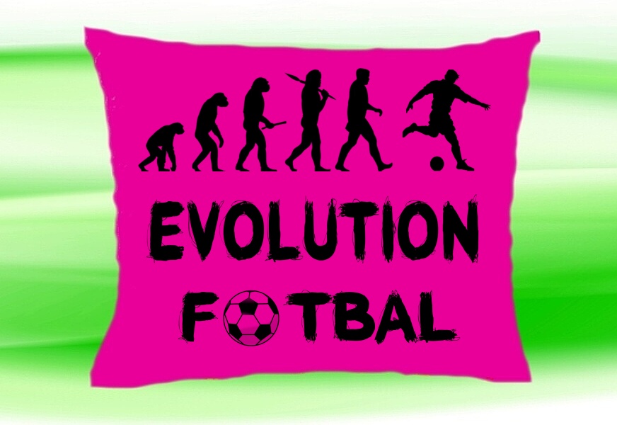 Moon River Evolution Fotbal polštář růžový 30x40 cm