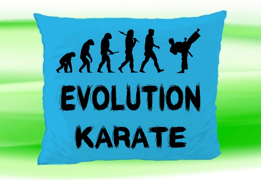 Moon River Evolution Karate polštář tyrkysový 30x40 cm