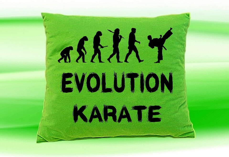 Moon River Evolution Karate polštář zelený 30x40 cm