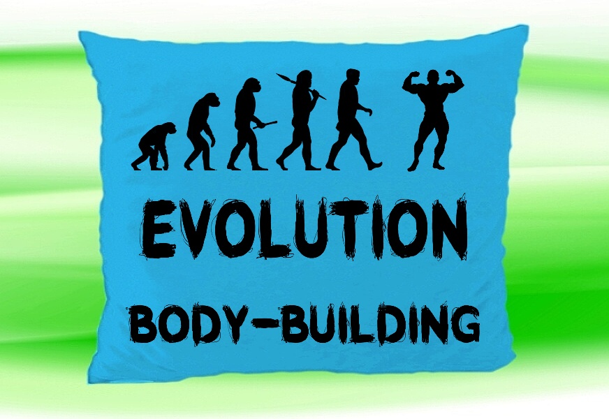 Moon River Evolution BODY-BUILDING polštář tyrkysový 30x40 cm