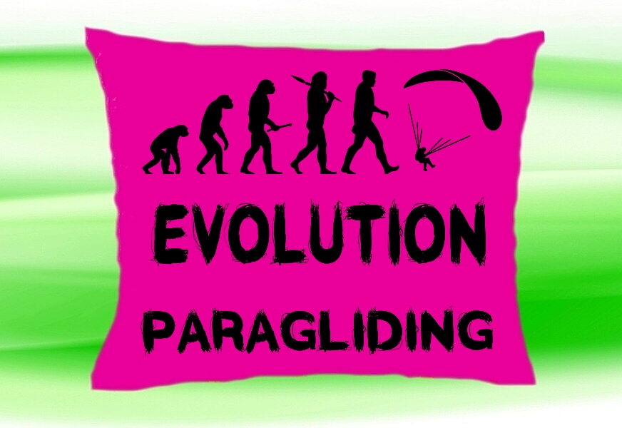Moon River Evolution PARAGLIDING polštář růžový 30x40 cm
