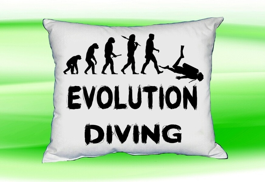 Moon River Evolution DIVING potápění polštář bílý 30x40 cm