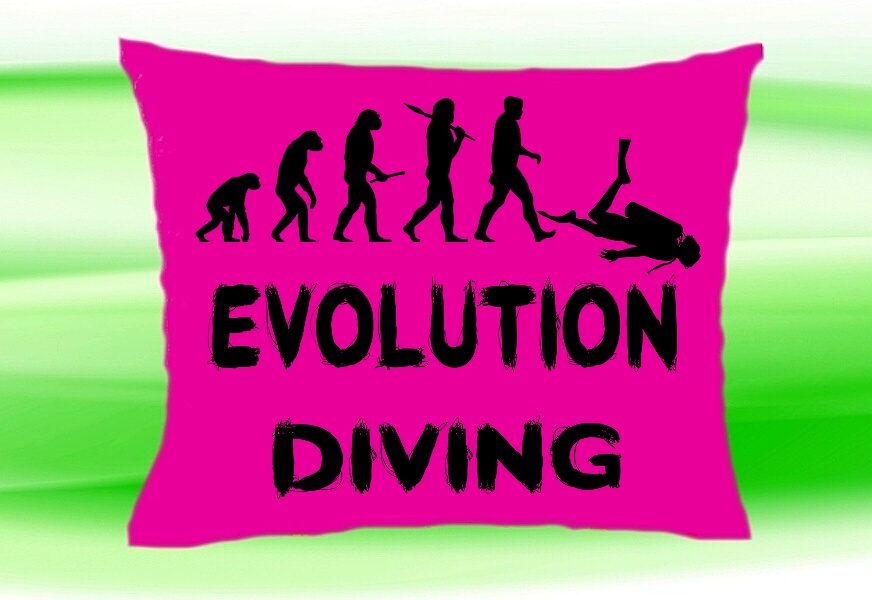Moon River Evolution DIVING potápění polštář růžový 30x40 cm