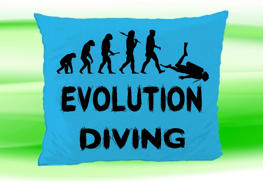 Moon River Evolution DIVING potápění polštář tyrkysový 30x40 cm