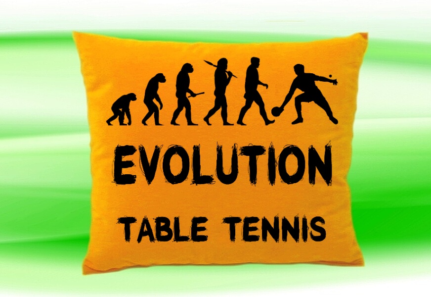 Moon River Evolution TABLE TENNIS polštář medový 30x40 cm