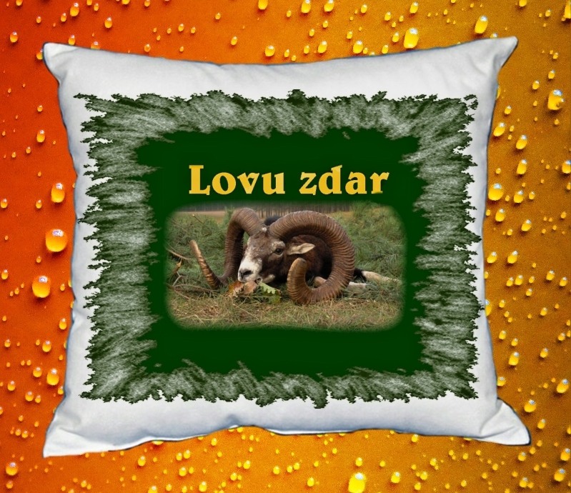 Polštářek pro myslivce 3