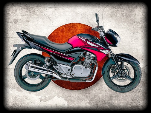 nášivka Suzuki GW250Z