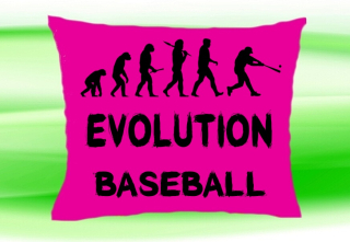 Moon River Evolution Baseball polštář růžový 30x40 cm