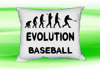 Moon River Evolution Baseball polštář  30x40 cm