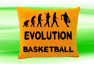 Moon River Evolution Basketbal polštář medový 30x40 cm