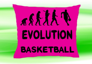 Moon River Evolution Basketbal polštář růžový 30x40 cm