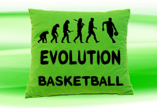 Moon River Evolution Basketbal polštář zelený 30x40 cm