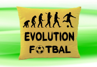 Moon River Evolution Fotbal polštář béžový 30x40 cm