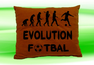 Moon River Evolution Fotbal polštář hnědý 30x40 cm
