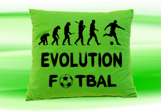 Moon River Evolution Fotbal polštář zelený 30x40 cm