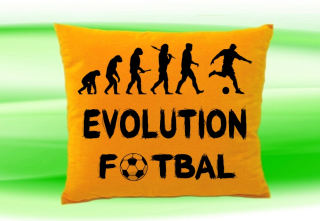 Moon River Evolution Fotbal polštář  30x40 cm