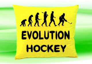 Moon River Evolution Hokej polštář žlutý 30x40 cm