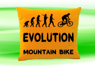 Moon River Evolution MOUNT AIN BIKE  polštář medový 30x40 cm