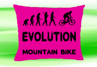 Moon River Evolution MOUNT AIN BIKE  polštář růžový 30x40 cm