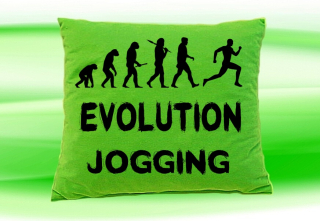 Moon River Evolution JOGGING muži polštář zelený 30x40 cm