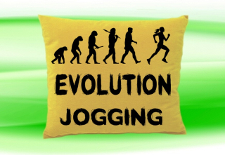 Moon River Evolution JOGGING ženy polštář béžový 30x40 cm