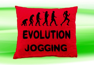 Moon River Evolution JOGGING ženy polštář červený 30x40 cm