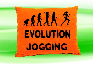 Moon River Evolution JOGGING ženy polštář oranžový 30x40 cm