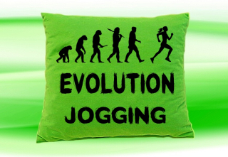 Moon River Evolution JOGGING ženy polštář zelený 30x40 cm