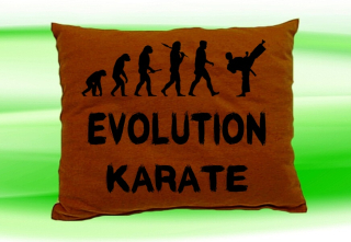 Moon River Evolution Karate polštář hnědý 30x40 cm