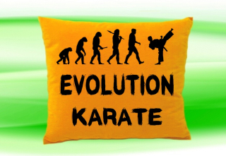 Moon River Evolution Karate polštář medový 30x40 cm
