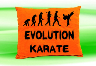 Moon River Evolution Karate polštář oranžový 30x40 cm