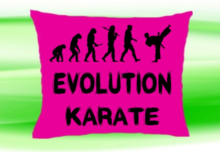 Moon River Evolution Karate polštář růžový 30x40 cm