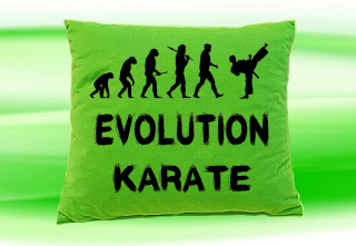 Moon River Evolution Karate polštář zelený 30x40 cm