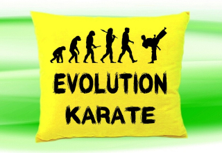 Moon River Evolution Karate polštář žlutý 30x40 cm