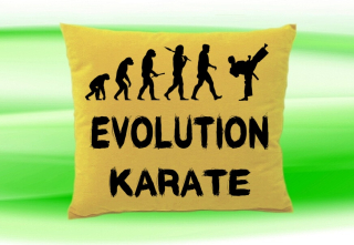 Moon River Evolution Karate polštář  30x40 cm