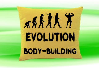 Moon River Evolution BODY-BUILDING polštář béžový 30x40 cm