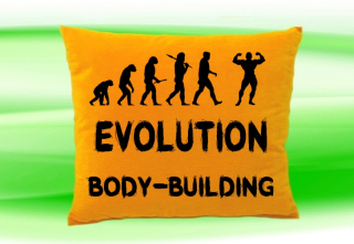 Moon River Evolution BODY-BUILDING polštář medový 30x40 cm