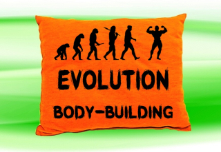 Moon River Evolution BODY-BUILDING polštář oranžový 30x40 cm