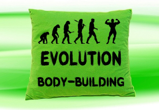 Moon River Evolution BODY-BUILDING polštář zelený 30x40 cm