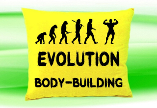 Moon River Evolution BODY-BUILDING polštář žlutý 30x40 cm