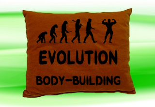 Moon River Evolution BODY-BUILDING polštář  30x40 cm