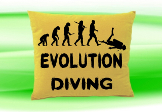 Moon River Evolution DIVING potápění polštář béžový 30x40 cm