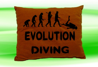 Moon River Evolution DIVING potápění  polštář hnědý 30x40 cm