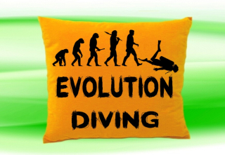 Moon River Evolution DIVING potápění  polštář medový 30x40 cm