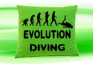 Moon River Evolution DIVING potápění  polštář zelený 30x40 cm