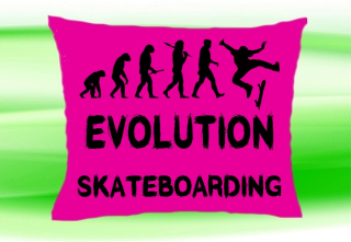 Moon River Evolution SKATEBOARDING polštář růžový 30x40 cm